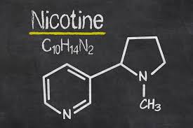 nicotien_1